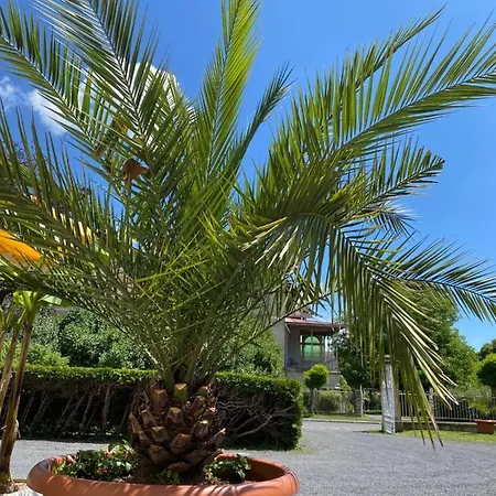 بيت ضيافة Gaestehaus & Privatzimmer Posch *